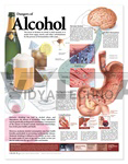 Dangers of Alcohol Anatomical Chart, Second Edition